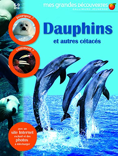 Dauphins et autres cétacés