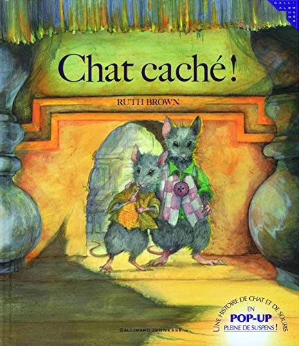 Chat caché ! Une histoire de chat et de souris en pop-up